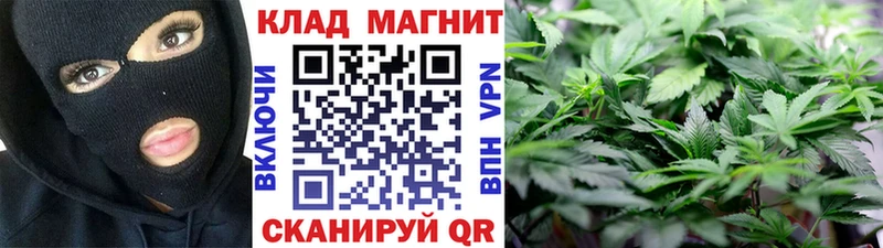 ГАШИШ Кашира