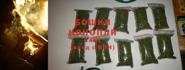 метадон Белокуриха