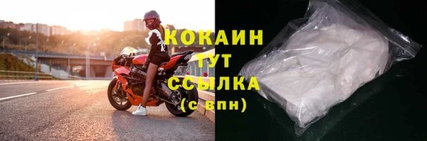ECSTASY Богородицк