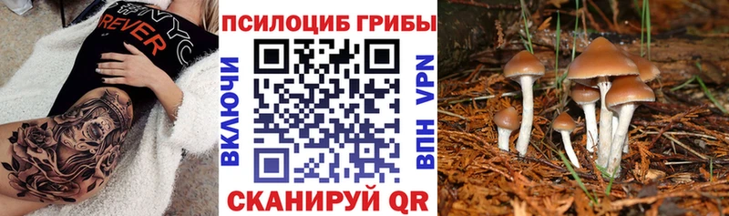 Псилоцибиновые грибы мухоморы  Кашира 