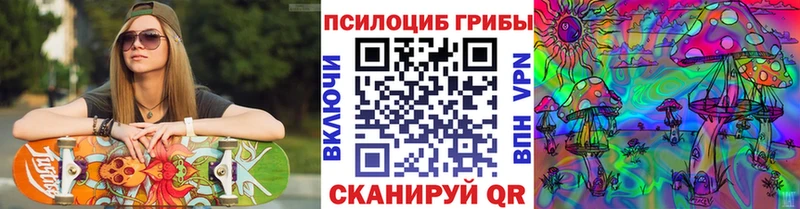 Псилоцибиновые грибы Psilocybe Кашира